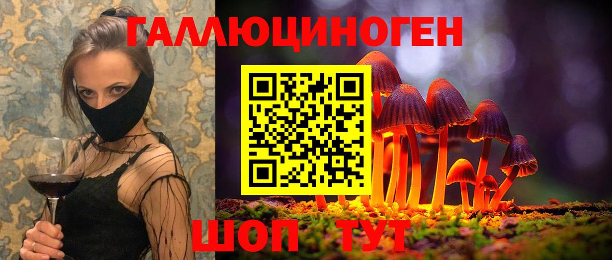 Псилоцибиновые грибы Cubensis  Вход с VPN  Белореченск 